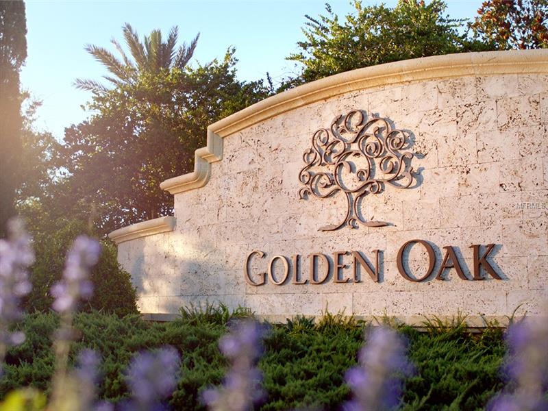 Luxury Mansion For Sale at Golden Oak at Walt Disney World Resort - $2,220,000

 
