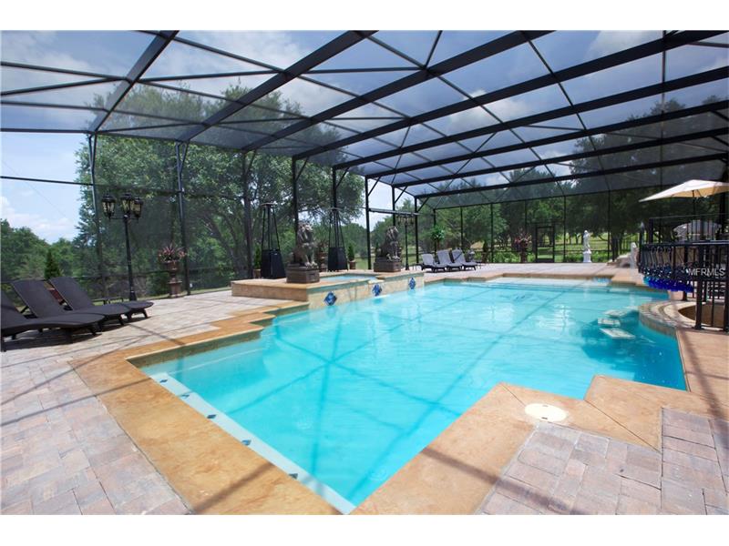 French Chateau For Sale at Savanna Ridge - Winter Garden - $2,995,000


