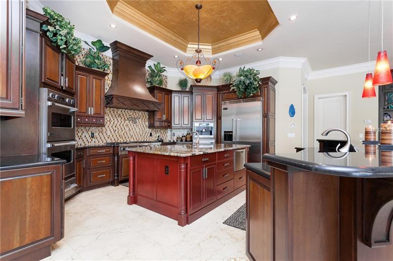 Millionaires Row Mansion For Sale - Dr.Phillips $2,375,000