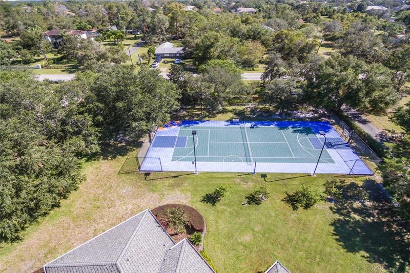 Lakefront Palatial Estate For Sale in Dr.Phillips $4,888,000