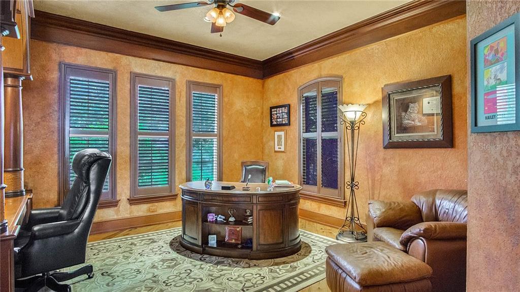 Dr.Phillips Lakefront Mansion For Sale - Estates At Phillips Landing $2,250,000