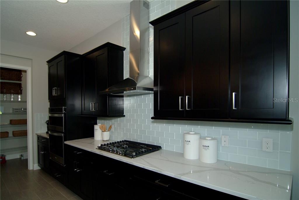 New Pool Home For Sale in Wincey Groves - Winter Garden $746,064