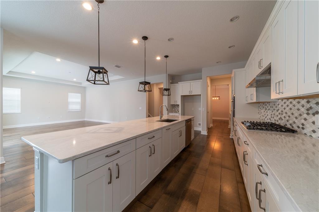 New Home For Sale at Lakeshore Preserve - Winter Garden $760,000